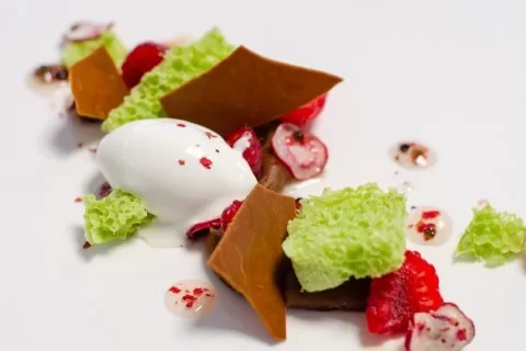 msk-matcha-green-tea-powder